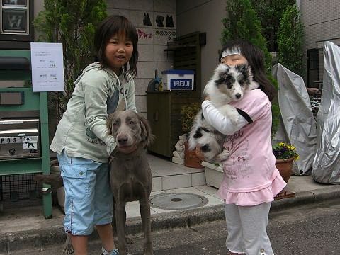 キャンディちゃん