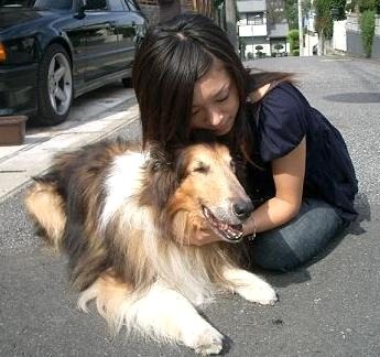 ラッキー