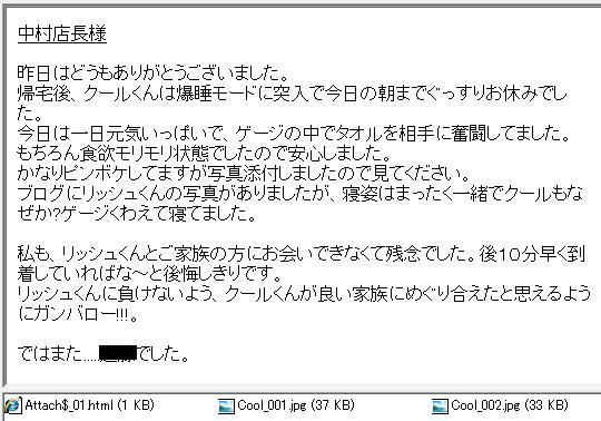クールくん