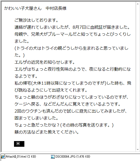 エルザちゃん