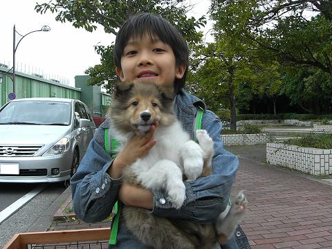 シェルの宮ちゃん