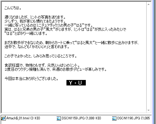 ミントくん