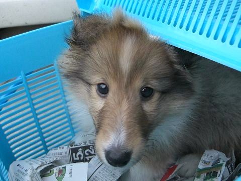 空ちゃん