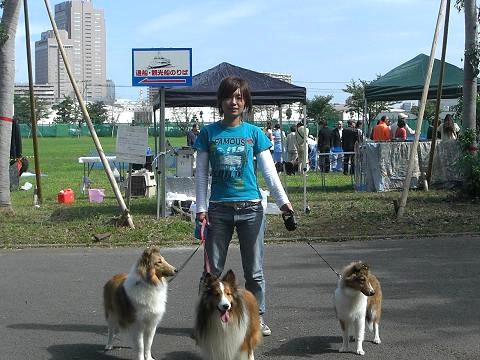 犬.jpg