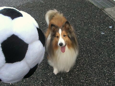 オクト