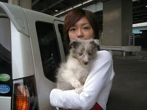 ふうさん