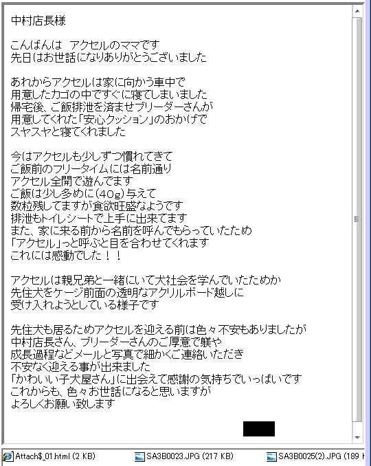 アクセルくん