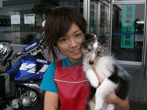 ミントくん