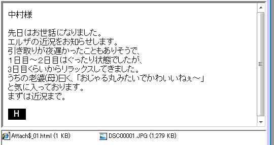 エルザちゃん