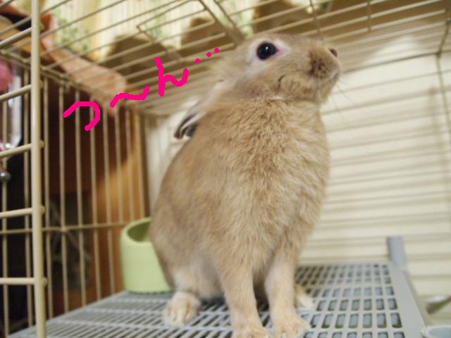 ツーつ〜ん1.JPG