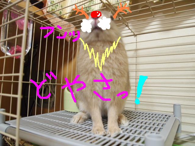 ツーどやさっ.JPG