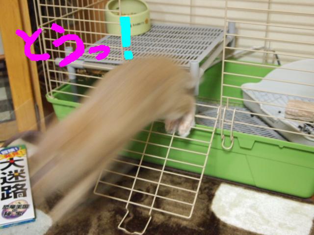 ツー出動.JPG