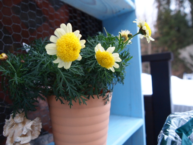 2011_0209画像0055.JPG