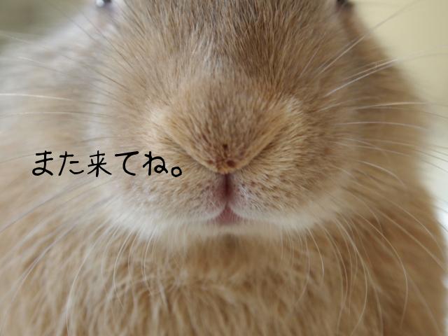 アップ