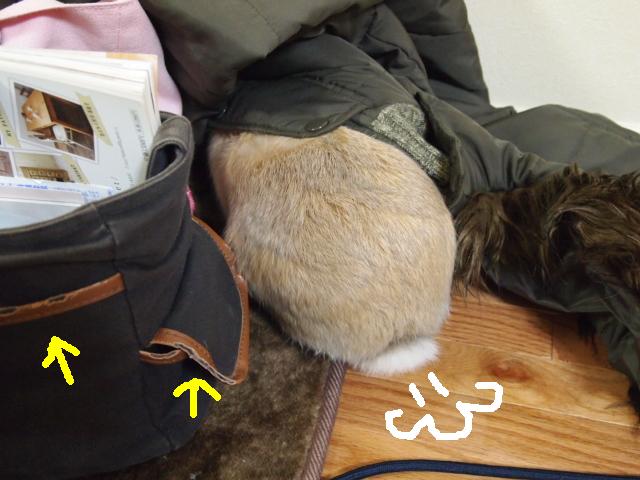 2011_0126画像0091.JPG