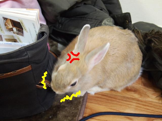 2011_0126画像0093.JPG