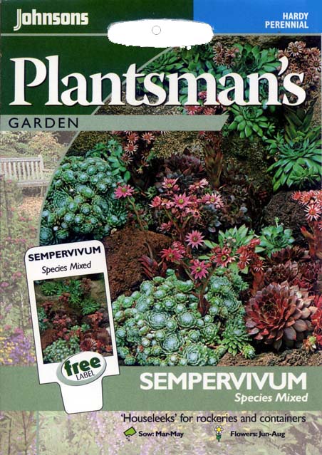 pm_sempervivum.jpg