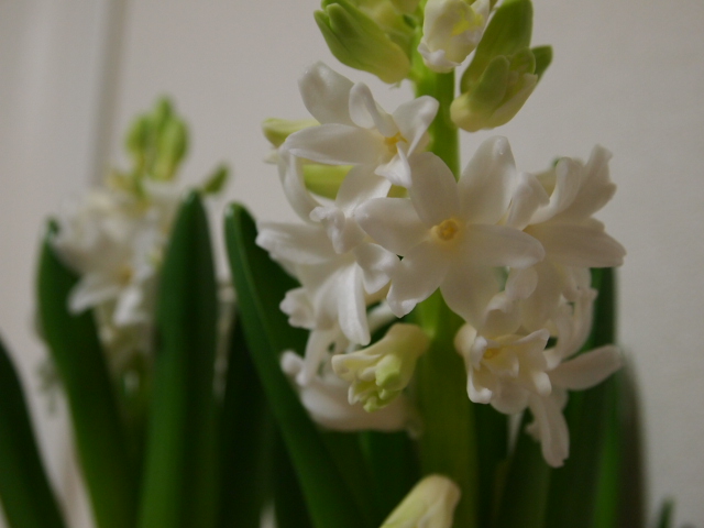 2011_0121画像0042.JPG