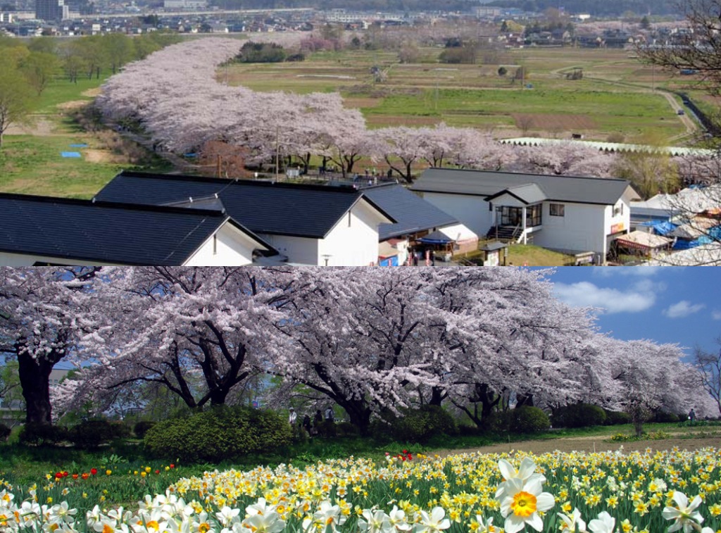 Picnik コラージュ.jpg