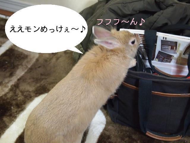 2011_0126画像0078.JPG