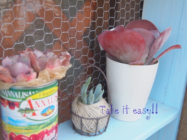 画像 262.jpg