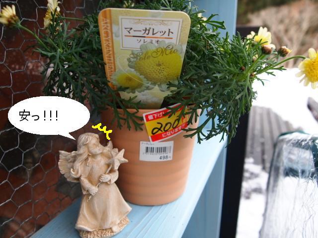 2011_0209画像0056.JPG