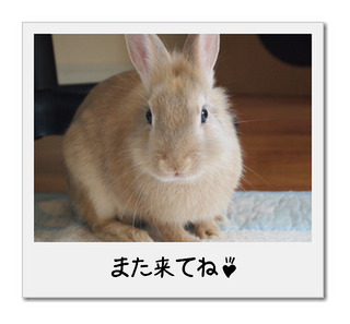 kako-1GIPYm4l3ogPfqgT.png