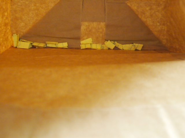2011_0720画像0187.JPG