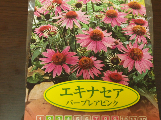 2011_0223画像0005.JPG