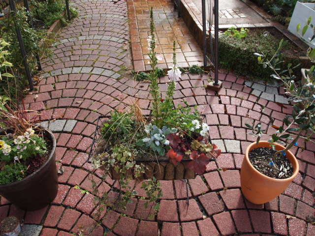 2010_1128画像0185.JPG