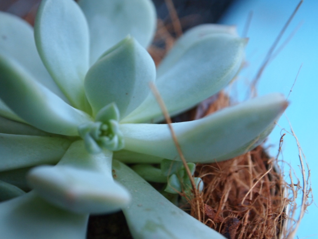 2011_0207画像0034.JPG
