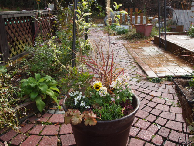 2010_1128画像0186.JPG