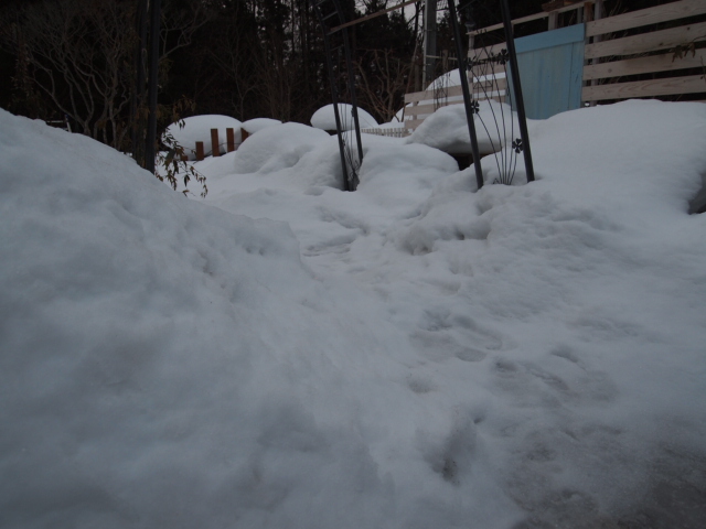 2011_0207画像0036.JPG