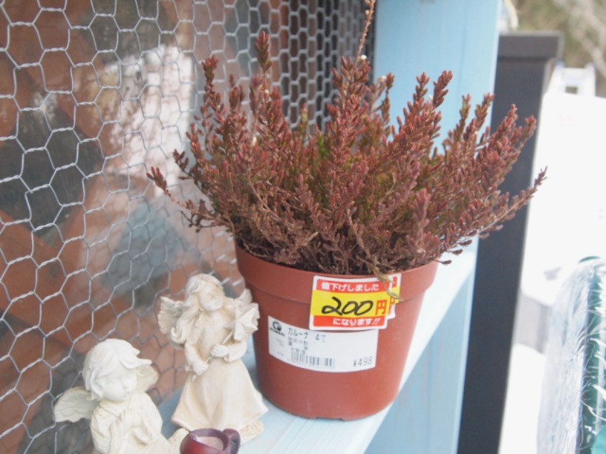 変更 2011_0223画像0011.jpg