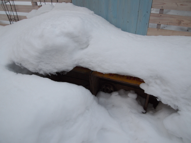 2011_0207画像0037.JPG