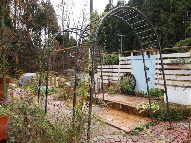 2010_1128画像0194.JPG