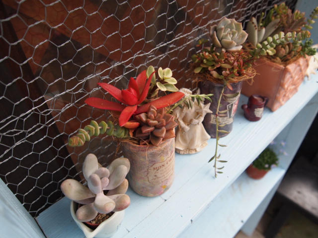 2010_1128画像0201.JPG