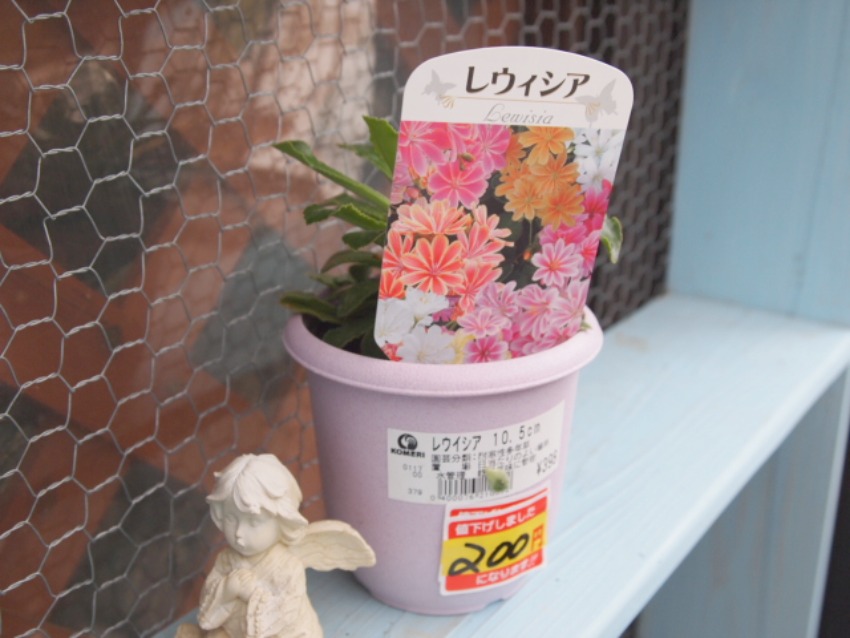 変更 2011_0223画像0013.jpg