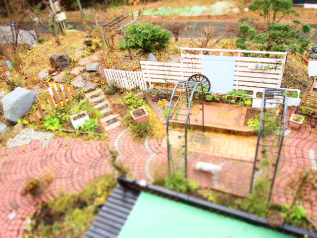 2010_1128画像0203.JPG