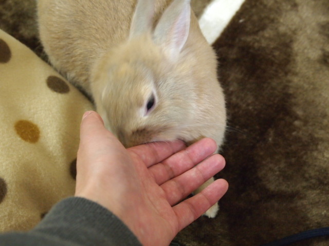 2011_0127画像0077.JPG