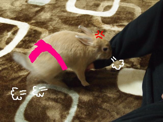 のこった.JPG