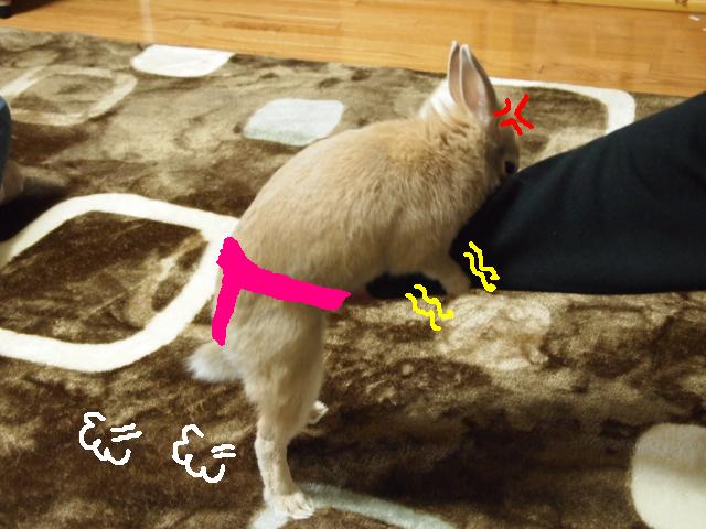 のこった2.JPG