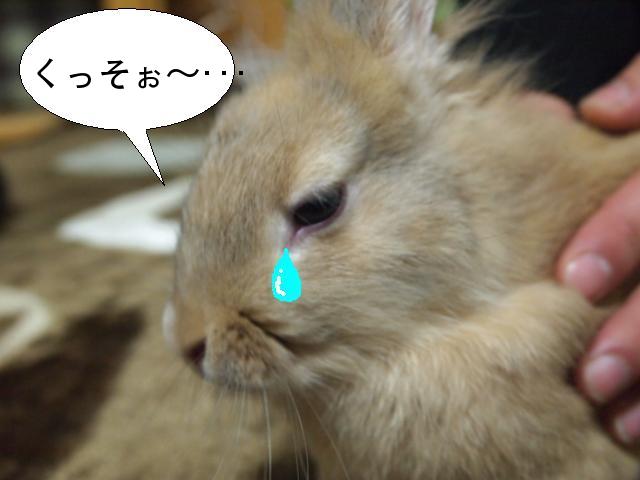 泣きツー.JPG