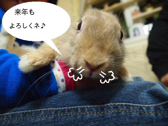 よろしくね.JPG