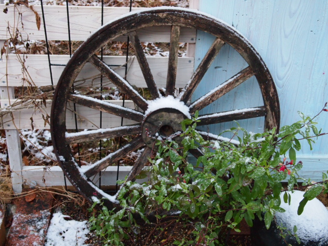 2010_1210画像0009.JPG