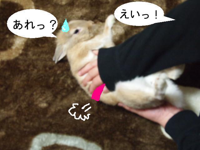 つー負け.JPG