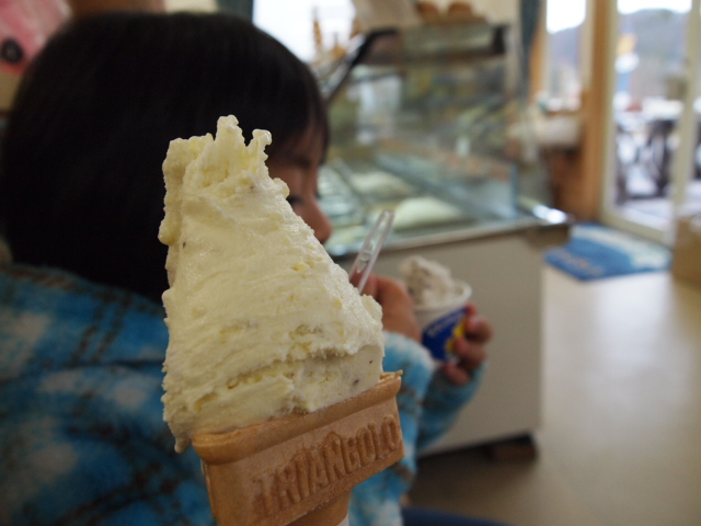 2010_1128画像0205.JPG