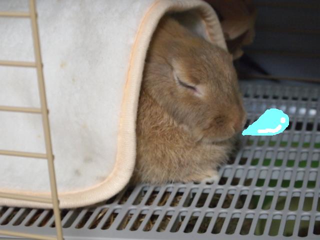 2011_0207画像0023.JPG