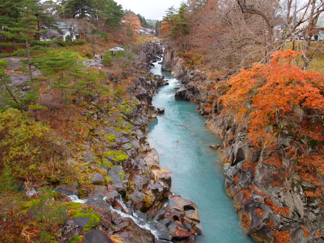 2010_1128画像0207.JPG
