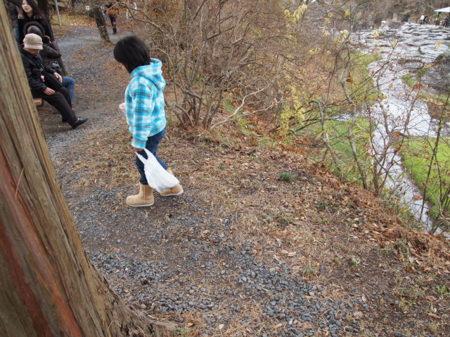2010_1128画像0206.JPG
